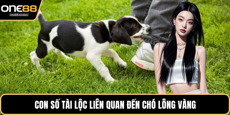 Mơ Chó Cắn - Giải Mã Chi Tiết Và Tìm Kiếm Số May Mắn - Dovon