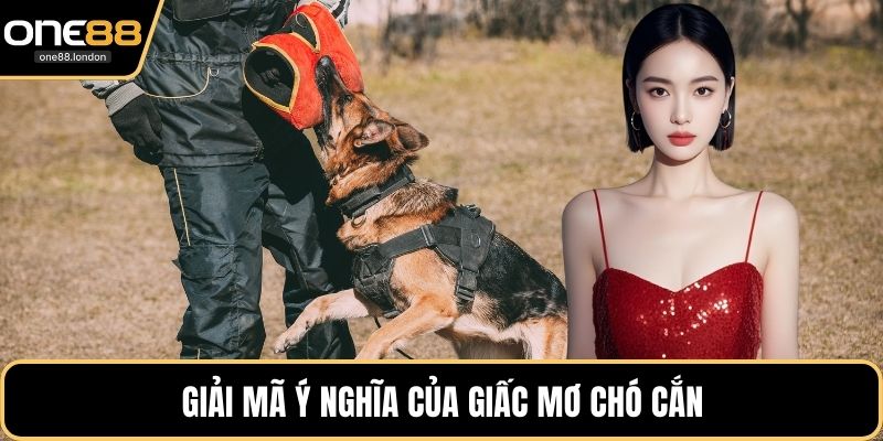 Mơ Chó Cắn - Giải Mã Chi Tiết Và Tìm Kiếm Số May Mắn - Dovon