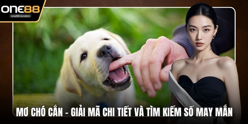 Xổ Số One88 - Thiên Đường Quay Số Trúng Thưởng Đỉnh Cao - Dovon