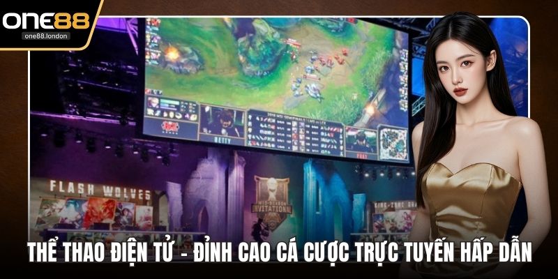 Thể Thao One88 - Sân Chơi Đẳng Cấp Dành Cho Mọi Người - Dovon