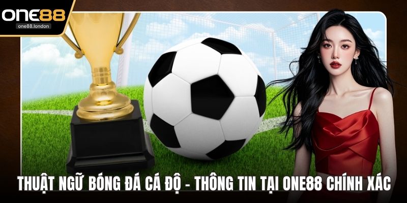 Thể Thao One88 - Sân Chơi Đẳng Cấp Dành Cho Mọi Người - Dovon