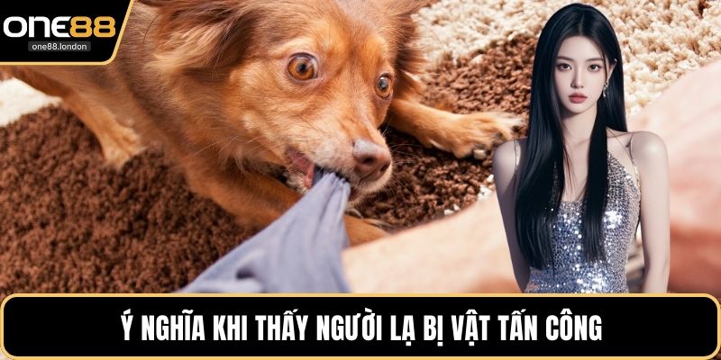 Mơ Chó Cắn - Giải Mã Chi Tiết Và Tìm Kiếm Số May Mắn - Dovon